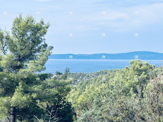 Dalmazia, Brač, Sutivan, parcela 29787m2 sa markicom, maslinik.