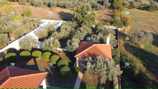 Elegante casa al piano terra con vista mare e grande giardino – investimento ideale vicino a Pola e Fasana, Istria.