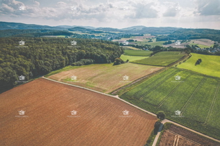 Investi nella Futuro: 18.399 m² di Terreno in Istria, Barban – Ottima Proprietà a un Prezzo Incredibile!