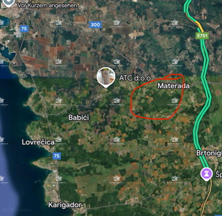 Istria, Umag – Vendita esclusiva di un terreno agricolo di 25.264 m²: Vigna, Pascolo, Terreno coltivato, Foresta