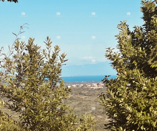 Istra, Buje, Krasica, terreno edificabile 1000m2, vista mare.