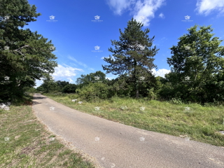 TERRENO EDIFICABILE di 1000m² in posizione attraente - MARTINČIĆI, GROŽNJAN, ISTRIA.