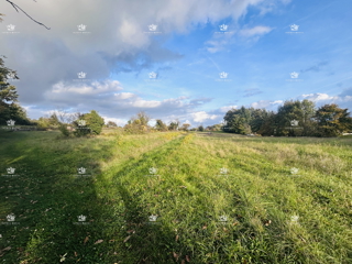 Terreno edificabile 7.335 m² – Žminj, Istria | Edificabilità 40%, ideale per più ville