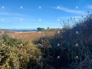 Istra, Ližnjan, Šišan, vendita di terreno agricolo nelle immediate vicinanze del mare, vicinanza alla corrente elettrica.