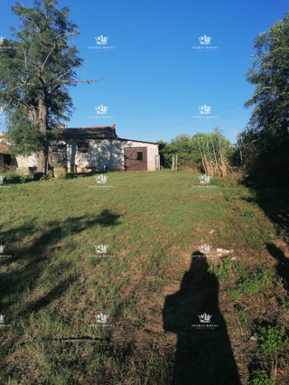 Istria, Umag, surroundings, building land with outlined structure.