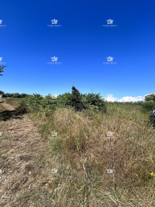 Istria, Zambratija, vendita di terreno edificabile di 1160m2, costruzione di sei appartamenti, 400m dal mare.