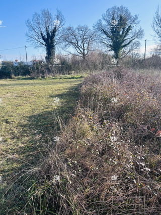 Istria, periferia di Lovrečica, terreno edificabile 390m2