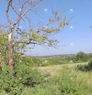 Istra, Murine, terreno edificabile 568m2, vendita