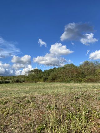 Terreno agricolo di 6175 m² con strada tracciata e accessibile