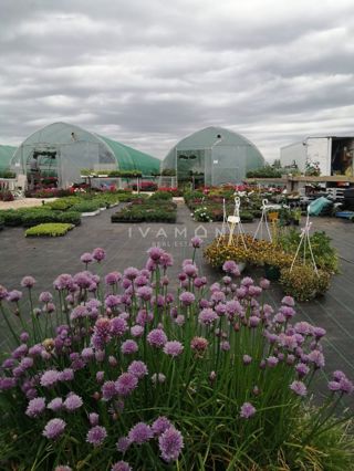 Terreno Agricolo con 3 Serre