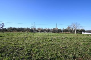 Terreno Poreč, 1.015m2