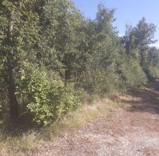 Terreno Juršići, Svetvinčenat, 16.437m2