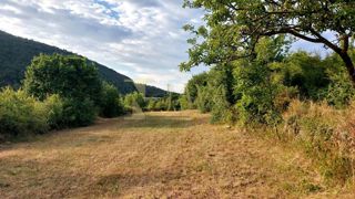 Terreno Salež, Buzet, 1.150m2
