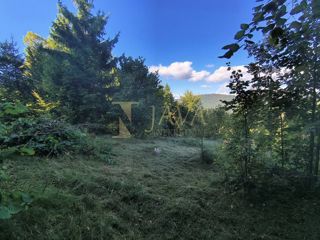 Terreno Sunger, Mrkopalj, 4.100m2