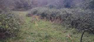 Terreno Kukuljanovo, Bakar, 5.302m2