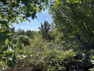 Terreno Sroki, Viškovo, 1.007m2
