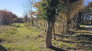 Terreno Labin, 2.446m2