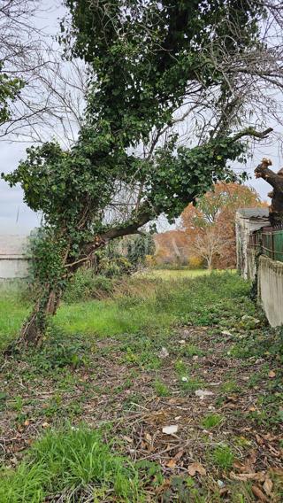 Terreno Brtonigla, 517m2