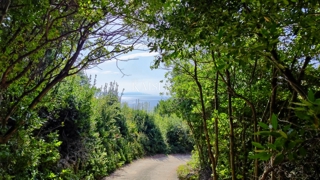 Labin - sensazionale vista sul mare, 1800 m2