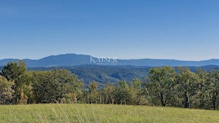 Istria, Motovun, terreno edificabile per ville di lusso