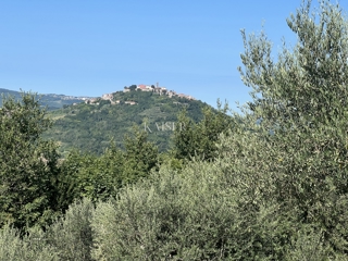 Istria, Motovun, terreno edificabile per 4 ville