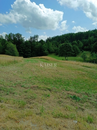 Raavna Gora, Stari Laz - terreno edificabile 1500 m2 con permesso di costruzione