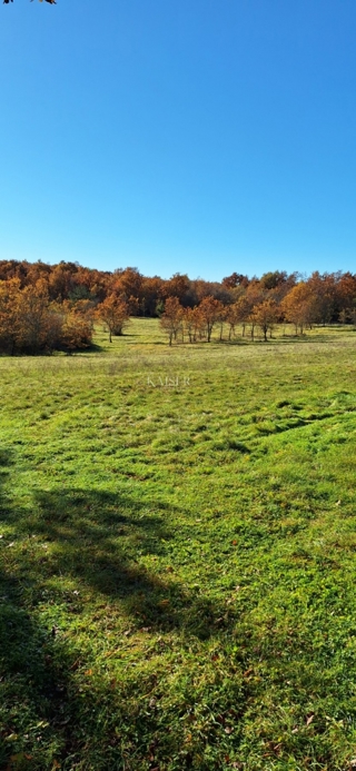 Istra - Višnja, terreno agricolo 4 ettari