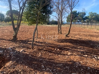 Istria, Fasana - terreno agricolo 660m2 a soli 50m dal mare
