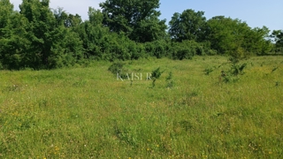 Istria - Barban - terreno edificabile, 850 m2