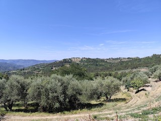 Istria, Buzet - vecchia casa con terreno edificabile