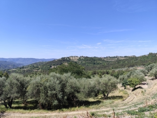 Istria, Buzet - vecchia casa con terreno edificabile
