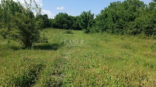 Istria - Barban - terreno edificabile con progetto, 1040 m2