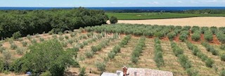 Istria, Cittanova - una villa con una bellissima vista sul mare e sugli uliveti