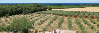 Istria, Cittanova - una villa con una bellissima vista sul mare e sugli uliveti