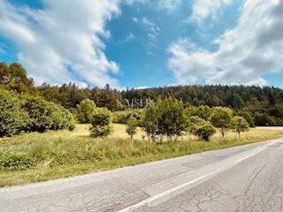 Fužine – Terreno edificabile di 7000 m2 vicino al lago