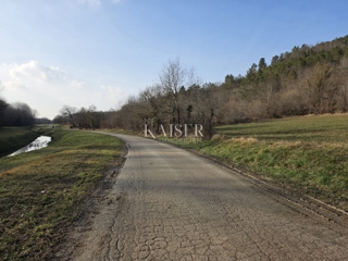 Istria, Motovun - terreno edificabile 37000m2