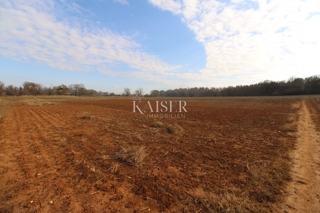 Istria - Parenzo, terreno attraente a 500 m dal centro di Parenzo -7326m2