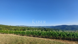Istria, zona di Buzet - terreno agricolo 2,4 ha, possibilità di edificazione