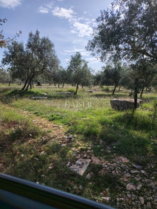 Terreni agricoli Vodnjan, 2.126m2