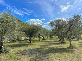 Terreno Vrbnik, 12.000m2