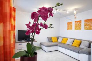 Appartamento Uvala Soline, 61m2