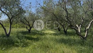 Terreno Privlaka, Alojzija Stepinca , 956m2