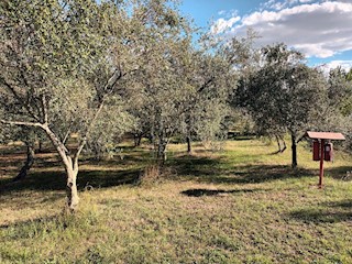 Terreno edificabile a Verteneglio