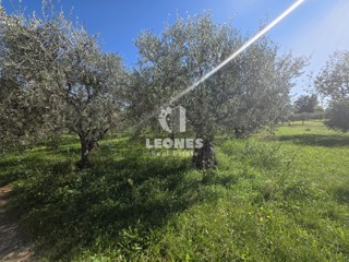 Terreno edificabile vicino a Umag - Umago