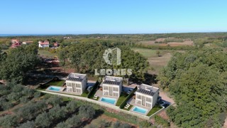 Moderna vila con piscina ai dintorni di Brtonigla - Verteneglio
