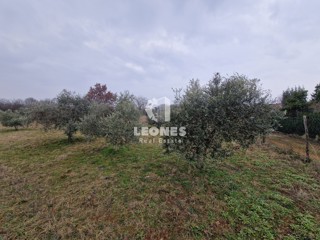 Terreno edificabile ai dintorni di Umag - Umago