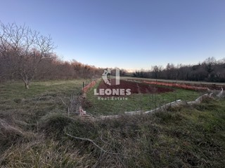 Terreno agricolo a Cittanova