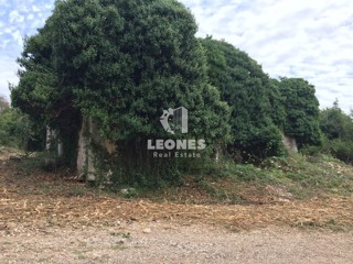 Terreno Umag