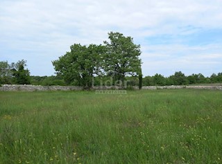 Terreno Marići, Kanfanar, 11.500m2