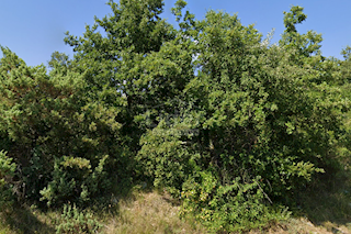 Terreno Smoljanci, Svetvinčenat, 24.353m2